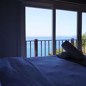 Suite con Cama King